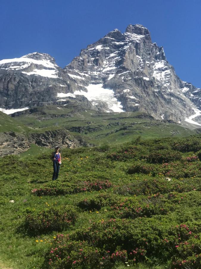 Piccolo Paradiso In Centro Cervinia * Breuil-Cervinia